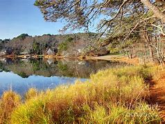 Image result for Cape Cod Scenic Ocean