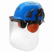 Image result for Almitas Face Shield