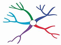 Image result for Mind-Mapping Logo