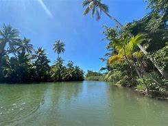 Image result for Dominica Rivers