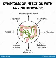 Image result for Tapeworm Cartoon