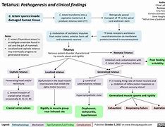 Image result for Tetanus Graph