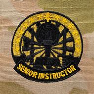 Image result for Army Rank OCP Badge