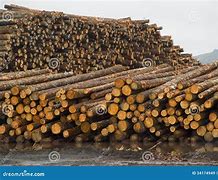 Image result for Log Pile Lumber Mill