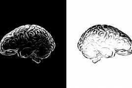 Image result for Brain Logo Black and White