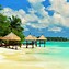 Image result for Turquoise Sea