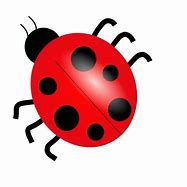 Image result for Cute Lightning Bug Clip Art