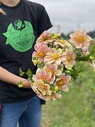 Image result for Apple Blossom Dahlia