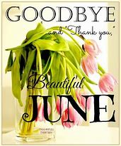 Image result for Goodbye June Meme