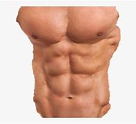 Image result for Six Pack Best Pics