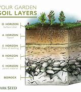 Image result for Soil Layers Drawing