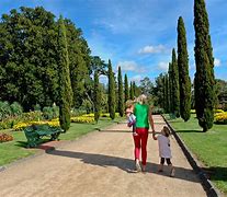 Image result for White Hills Bontainc Gardens