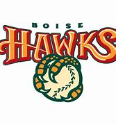 Image result for Boise Hawks Logo