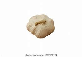 Image result for Picture of Galic On White Background