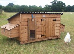 Image result for Chicken Co-op Roost Design