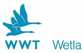 Image result for WWT Bird Logo