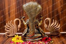 Image result for Vishnu in Fish Idol