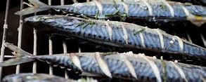 Image result for Hot Smoked Mackerel