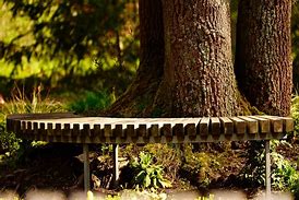 Image result for Garden Park Bench