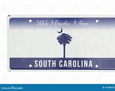 Image result for South Carolina License Plate with Wolf