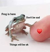 Image result for Flat Frog Meme