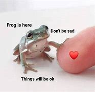 Image result for Cute Frog Meme