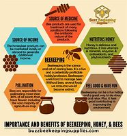 Image result for Honey Beekeeping