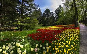 Image result for Mainau Island Park