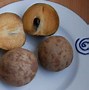 Image result for Sapodilla