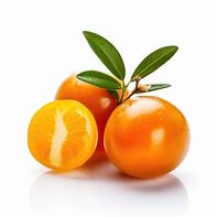 Image result for Kumquat Fruit White Background