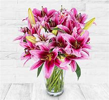 Image result for Bright Pink Lilies