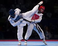 Image result for South Korea Taekwondo