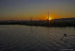 Image result for Rietvlei Nature Reserve South Africa