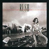 Image result for Permanent Waves Box Set