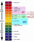 Image result for Light Bulb pH Scale