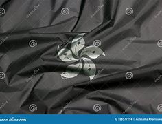 Image result for Hong Kong Balck Flag