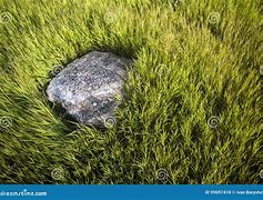 Image result for Stone Steos in Grass