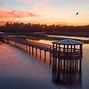 Image result for Cattail Marsh Beaumont TX