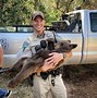 Image result for BLM Ranger Truck