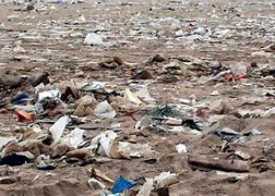 Image result for Soil Pollution