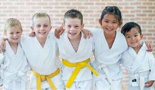 Image result for Karate Kids Fighting