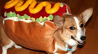 Image result for Sinora Hot Dogs