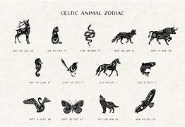 Image result for Spirit Animals for Zodiac Signs