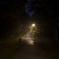 Image result for Street Light Glare