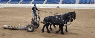 Image result for Draft Horse Logging