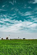 Image result for Background Langit Kartun HD