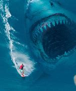 Image result for Megalodon Shark