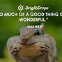 Image result for Top Funny Sayings