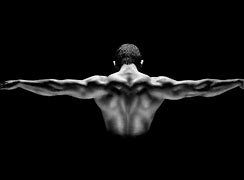 Image result for Back Muscle Wallpaper