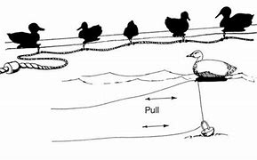 Image result for Duck Decoy Weights